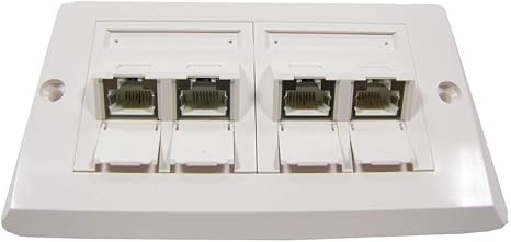 BeMatik - Placa de pared de 140x80 de 4 RJ45 Cat.6 FTP: Amazon.es: Informática