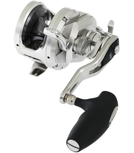 Amazon.com : Shimano Inc. OCEA Jigger 2000NR PG : Sports