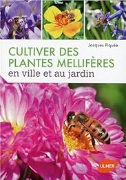 Cultiver des plantes mellifères en ville et au jardin