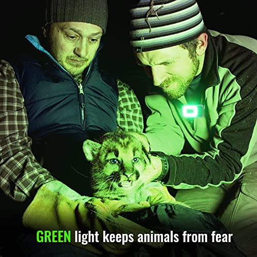 EGUKU Running Light, Clip On Running Lights for Runners at Night 5