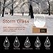 Transparent Waterdrop Storm Glass with Pure Wooden Base, Weather Predictor, Creative Choice, Most Unique Decorations on Various Occasion.