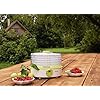 Wintergreen-Food-Dehydrator-Machine-BPA-Free-Snackmaster-for-Beef-Jerky-Preserving-Wild-Food-and-Fruit-Vegetable-Dryer-in-Home-Kitchen