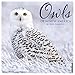 Owls 2020 Wall Calendar by