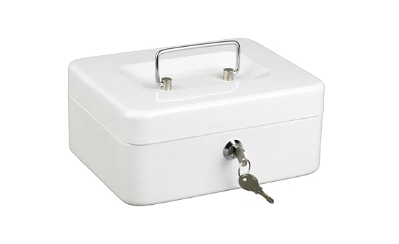 Alco 841-10 - Caja Fuerte metálica de caudales, 14 x 19 cm, Color