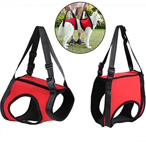 Creation Core Dog Lift Rehabilitation Support Harness Assist for Elderly Disable Joints Surgery(Red,28-35Kg) - Thumbnail 7