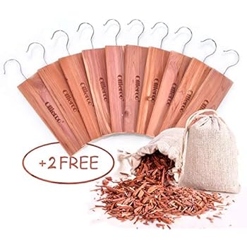 Ollieroo 12 Pack/1 Set Moth Protection Repellent 10x Cedar Hang Up & 2X Cedar Sachets Bag with Light Cedar Fragrance Odor Protection for wardrobes Large Size 9.05