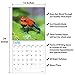 2020 Frogs Wall Calendar by Bright Day, 16 Month 12 x 12 Inch, Reptiles and Bugs Animals