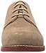 G.H. Bass & Co. Women's Ely-2 Oxford