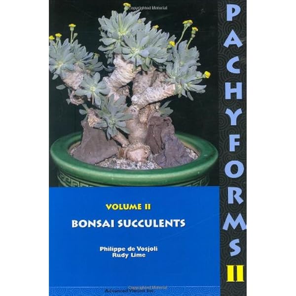 Pachyforms: A Guide to Growing Pachycaul and Caudiciform Plants