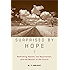 Surprised by Hope: Rethinking Heaven, the Resurrection, and the Mission of the Church