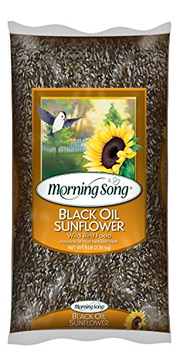 Morning Song 11997 Black Oil Sunflower Wild Bird Food, 5-Pound