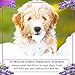 Dr. Mercola Organic Lavender Dog Shampoo - 1 Bottle (8 oz) - Natural Dog Shampoo Promotes Healthy Hair & Skin - w/Lavender, Aloe Vera, Jojoba, Neem, and More - Helps Reduce Dog Odors