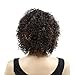 Befunny Curly Wigs for Black Women Short Jerry Kinky Curly Human Hair Wigs For Women Soft Fluffy None Lace Highlight Brown/Black Wigs (P1B/30#)
