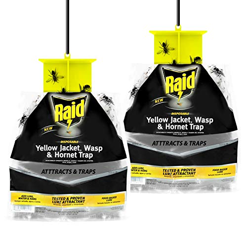 Raid Wasp Trap, Yellow Jacket Trap & Hornet Traps for Outdoors (2-Pack), Hanging Bee Trap, Disposable Wasp, Hornet & Yellow Jacket Traps, Pesticide-Free Insect Trap, Effective Yellowjacket Wasp Trap