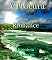 Livro A Procura: Romance