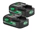 RYOBI Scotts S12020A SYNC 20V Lithium 2 Pack Battery Pack # 130321003-2PK primary