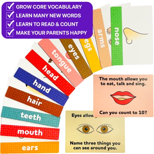 My First Big Flash Cards for Toddlers 12 Years 165 Baby Flash Cards 330 Sides Learn