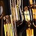 Homesita ST64 110V Vintage Antique Edison Style Incandescent Clear Glass Light Lamp Bulb Dimmable(6 pack)