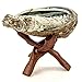 Premium Bundle with 5 Inch or Larger Abalone Shell, Stained Wooden Tripod Stand, and 3 California White Sage Smudge Sticks for Incense Burning, Home Fragrance, Energy Clearing, Yoga, Meditation