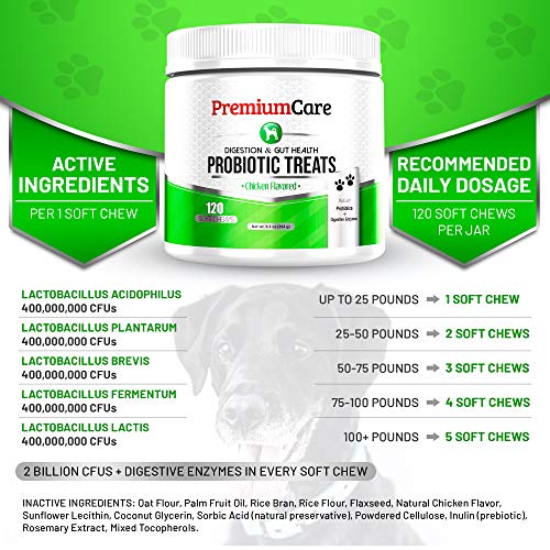 image for PREMIUM CARE Probiotics For Dogs - Advanced Dog Probiotics + Digestive