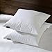 20x20 Square Down Feather Pillow Inserts-Set of 2-100% Cotton Fabric- White