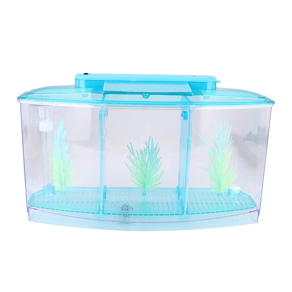 Acrylic Aquarium Isolation Box,Mini Fish Tank Breeding Hatchery Small Fishes Incubator with Three Divisions and LED Light(blue)