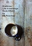 Brethren, life in bondage, book fifteen (Brethren life in bondage 15)