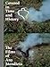 Covered in Time and History: The Films of Ana Mendieta by Howard Oransky, Laura Wertheim Joseph
