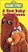 Sesame Street - A New Baby in My House [VHS]