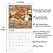 2020 Kittens Wall Calendar by Bright Day, 16 Month 12 x 12 Inch, Cute Cat Kitty Animals Feline
