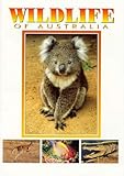 Front cover for the book Wildlife of Australia by Sue Hughes