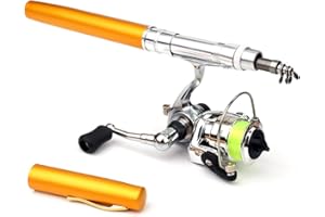 Doorslay Pen Fishing Rod Kit Mini Fishing Pole Pocket Pen Rod Set Fishing Rod Pen Portable Telescopic Fishing Rod with Spinning Reel Fishing Rod Reel Combo for Travel Saltwater Freshwater Sea