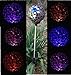 Solar Colorful Flower Petal Ball Light (#Blackm002P), Solar Power Multi-Color Color Changing LED Mosaic Glass Decorative Garden Yard Light Stake
