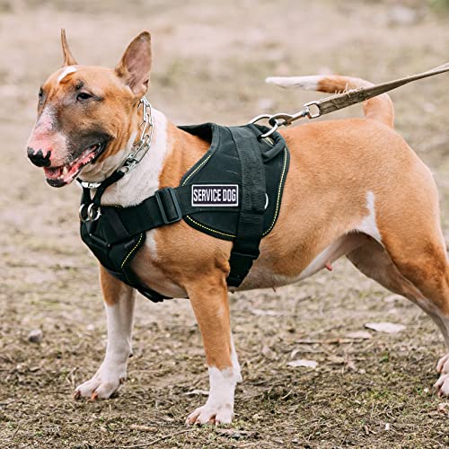 GYGYL 10Pcs Service Dog Patches, Ask to Pet Do Not Pet Patch, Tactical Pet in Training, Embroidered Fastener Hook and Loop Patch for Dog Vest Harnesses Collars