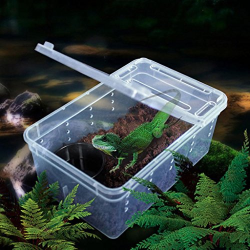 SoundsBeauty Transparent Plastic Amphibian Insect Reptile Breeding Box Transport Feeding Case