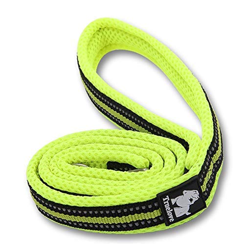 WINHYEPET True Love Dog Leash Nylon Reflective Comfortable Handle Lead Puppy Training Walking Rope Easy Control Suitable Small Medium Large Breeds 110cm Length TLL2111(Neon Yellow,M)