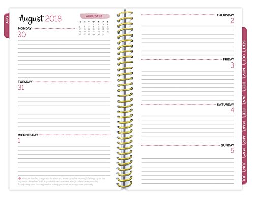 image for bloom daily planners 2018-2019 Academic Year HARD COVER Day Planner - 
