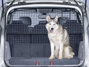 buy science diet dog food