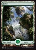 Magic: the Gathering - Forest (271) (271/274) - Battle for Zendikar - Foil