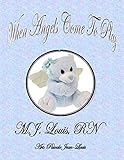 Front cover for the book When Angels Come to Play by M.J. Louis