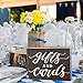 JennyGems Gifts and Cards Sign - 12x10 Inch Wedding and Party Decor, Hanging Wall Sign, Versatile Event Decoration (Black)