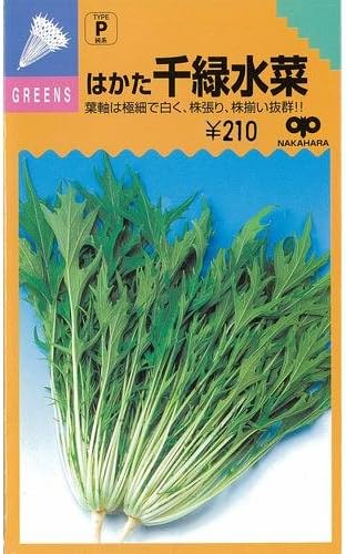 Amazon Co Jp 水菜 種 早生はかた千緑水菜 ２ｄｌ Diy Tools Garden