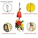 Vehomy Chicken Toys for Hen with Natural Colorful Loofah Handmade Chewing Foraging Hanging Toys for Hens Chickens