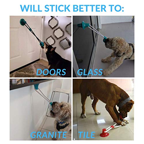 dog suction pull toy