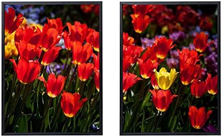 50x70cm X2枚 ライト高級 クリスタル磁器の装飾画 黒アルミ合金フレーム チューリップ花花壇日当たりの良い気分 アートパネル 壁掛け絵画 インテリアアート 現代 壁飾り 部屋飾り 壁ポスター 絵画 玄関 おしゃれ モダン 壁掛け Cznelb Ru