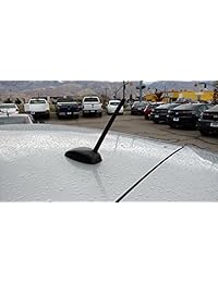 antennamastsrus 2009 2014 Nissan Cube Antena Techo AM FM Mástil