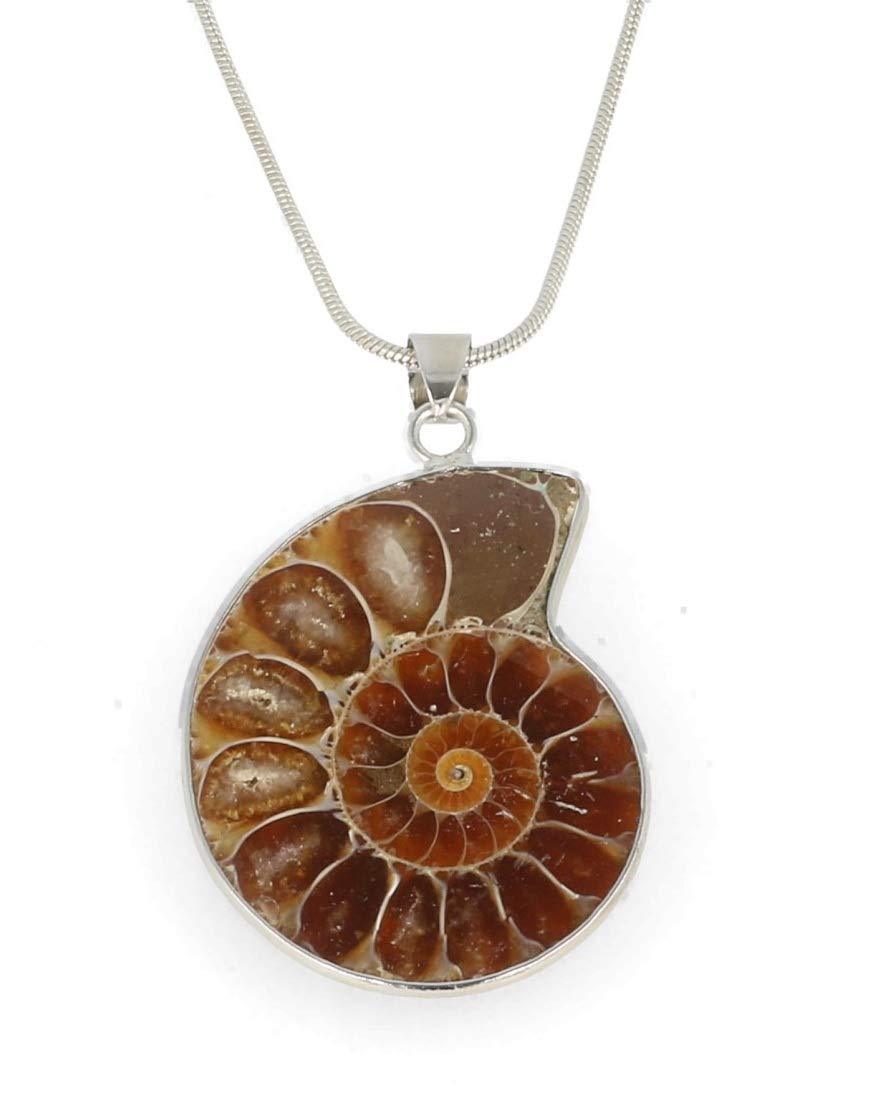 Luxury Ammonite Necklace Pendant Gift Box Healing Crystal Fossil Jewellery Millions of Years Old