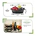 Meal Prep Containers - Reusable Plastic Containers with Lids - Disposable Food Containers Meal Prep Bowls - Plastic Food Storage Containers with Lids - Lunch Containers by Prep Naturals, 12 Pack