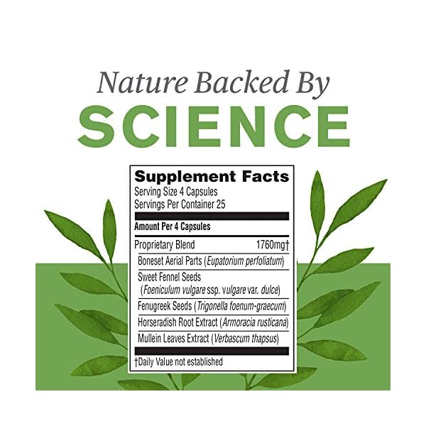 Nature’s Sunshine Seasonal Allergy, 100 Capsules Herbal Respiratory