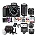 Nikon D3500 DSLR Camera with AF-P 18-55mm and 70-300mm Zoom Lenses Bundle with 64GB Card and Accessories (7 Items)